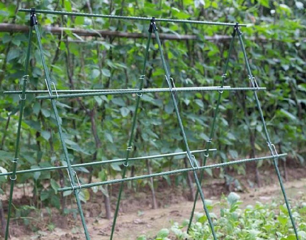 Diameter 8/11/16mm Plant Suppo - Vine Climbing Plastic recensie en prijs