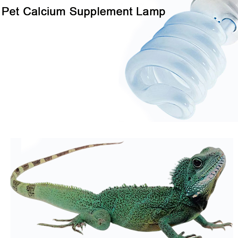 E27 13W/26W Reptile Uvb Lamp   - Calcium Powder Reptile recensie en prijs