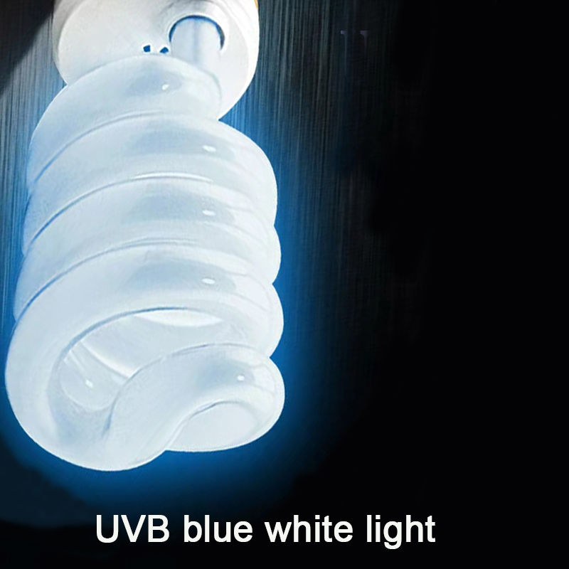 E27 13W/26W Reptile Uvb Lamp   - Calcium Powder Reptile recensie en prijs