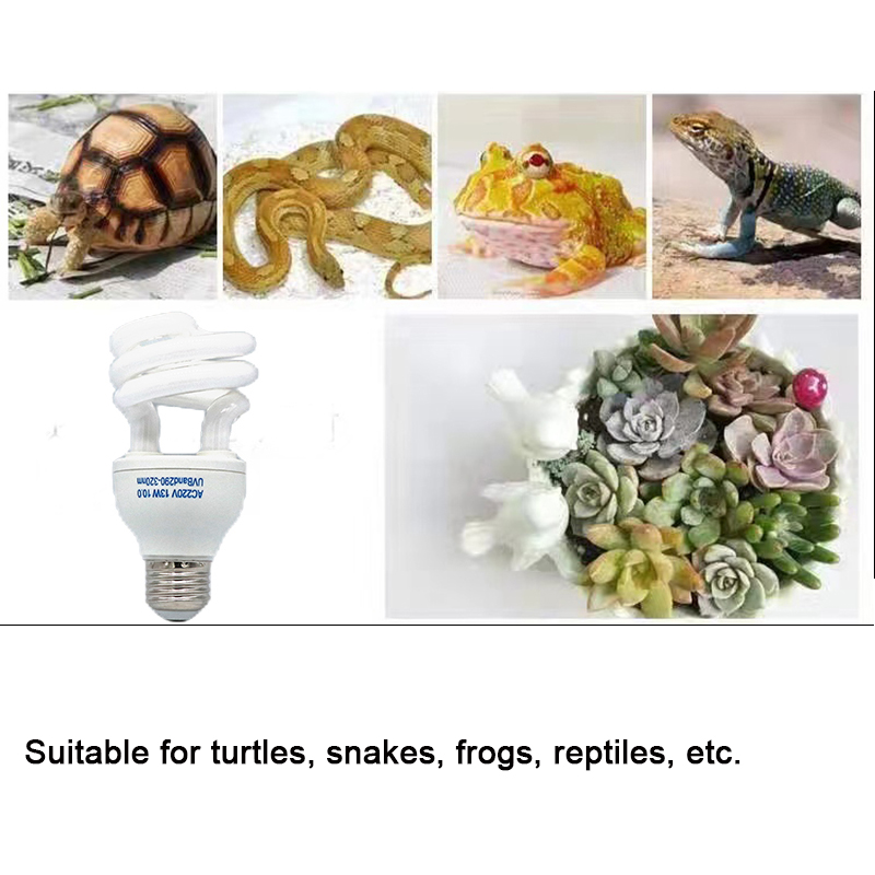 E27 13W/26W Reptile Uvb Lamp   - Calcium Powder Reptile recensie en prijs