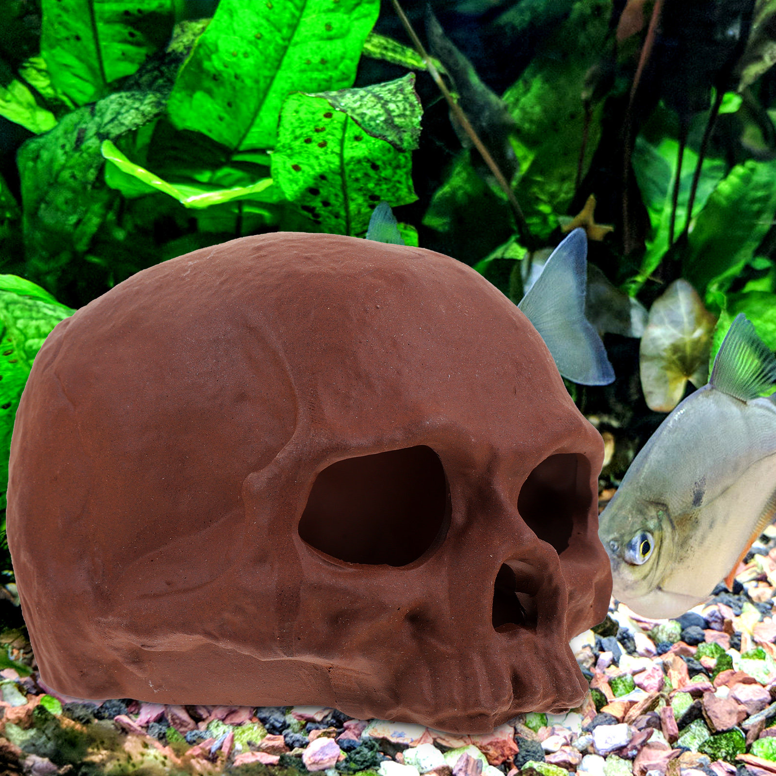 Ceramic Fish Cave Shrimp Hide  - Hide Cave Ceramic recensie en prijs
