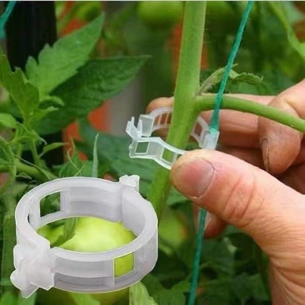 500Pcs Plastic Plant Support C - Vine Climbing Plastic recensie en prijs