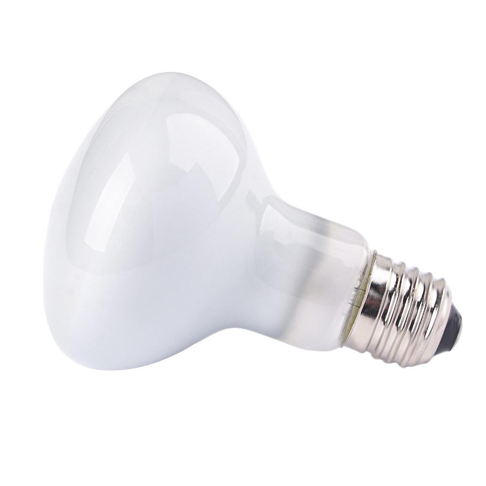 Turtle Temperature Controller  - Basking Bulb Halogen recensie en prijs