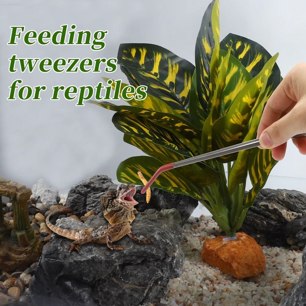 Stainless Steel Aquarium Feedi - Feeding Tong Stainless recensie en prijs