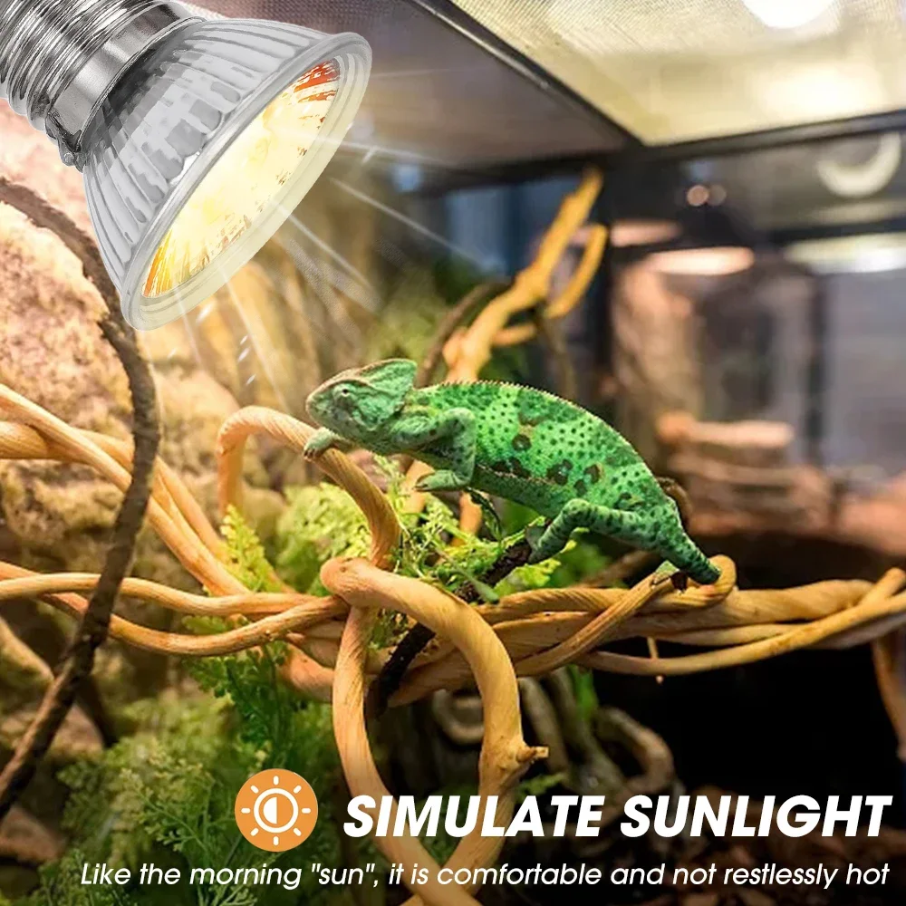 25/50/75W UVB Reptile Lamp Bul - Calcium Powder Reptile recensie en prijs