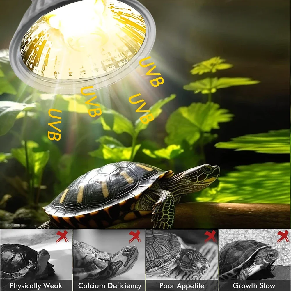 25/50/75W UVB Reptile Lamp Bul - Calcium Powder Reptile recensie en prijs