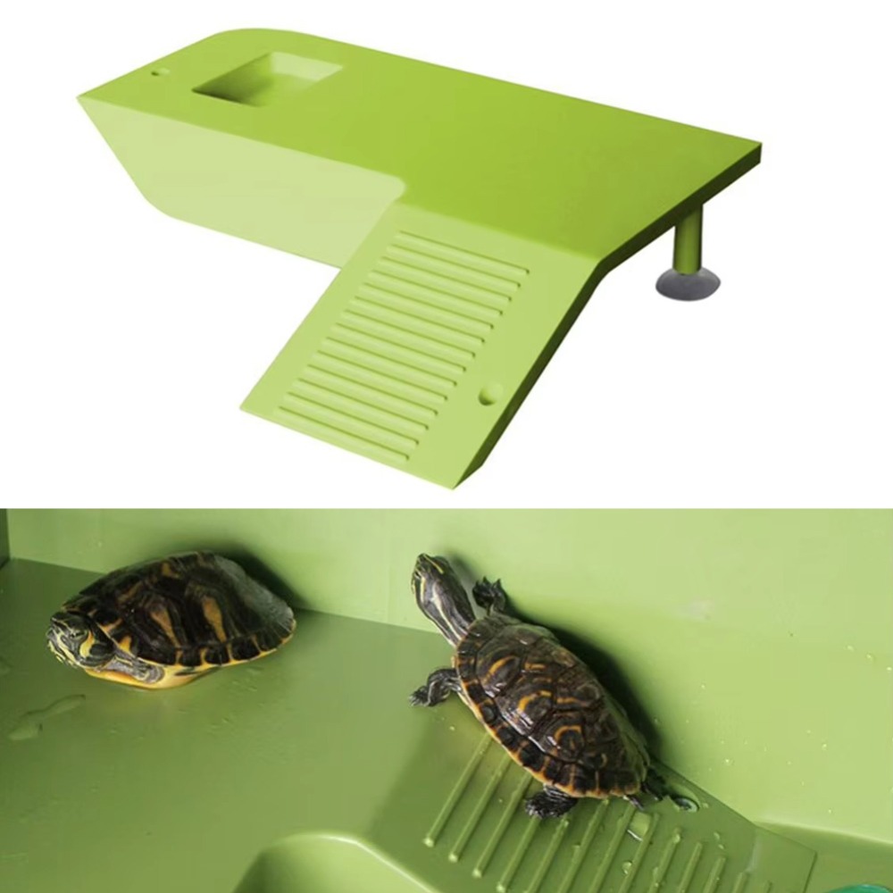 Water Land Slope Box Feeding C - Water Dish Reptile recensie en prijs