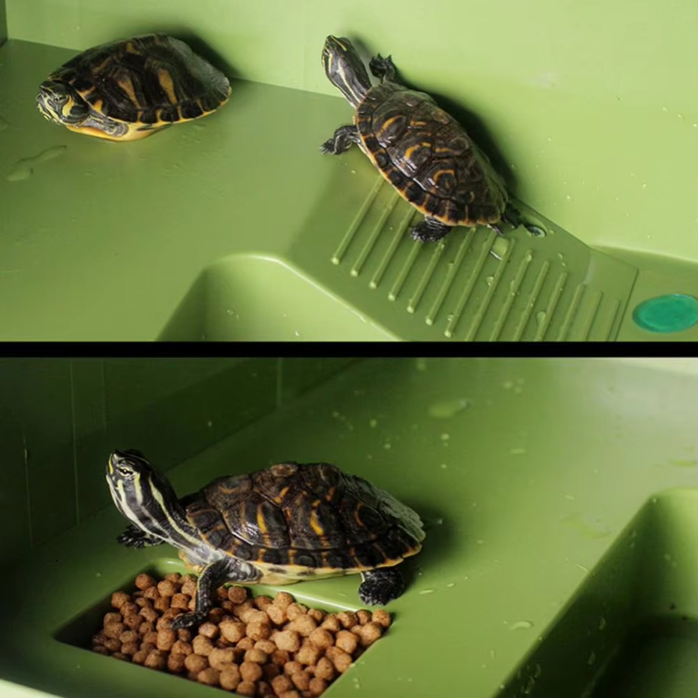 Water Land Slope Box Feeding C - Water Dish Reptile recensie en prijs