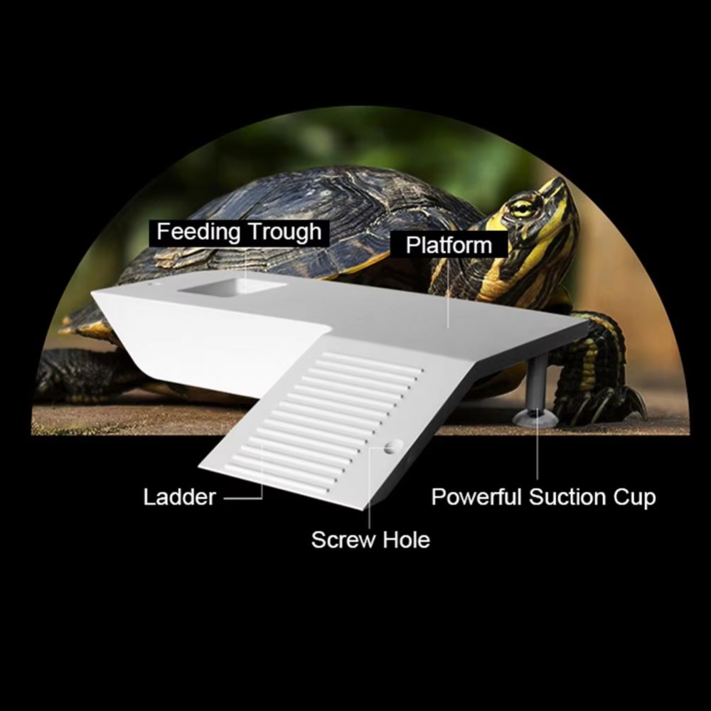 Water Land Slope Box Feeding C - Water Dish Reptile recensie en prijs