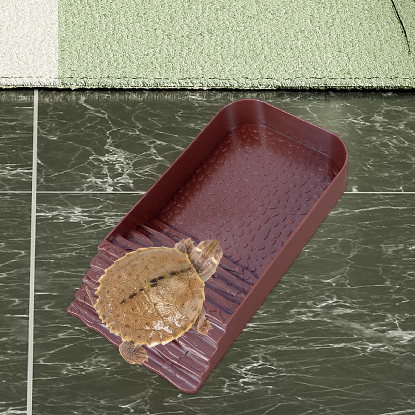 Reptile Water Bowl Accessories - Water Dish Reptile recensie en prijs