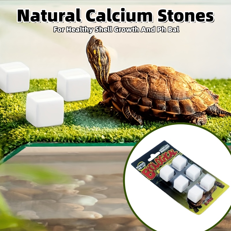 6 Pcs Fish Tank Calcium Block  - Calcium Powder Reptile recensie en prijs