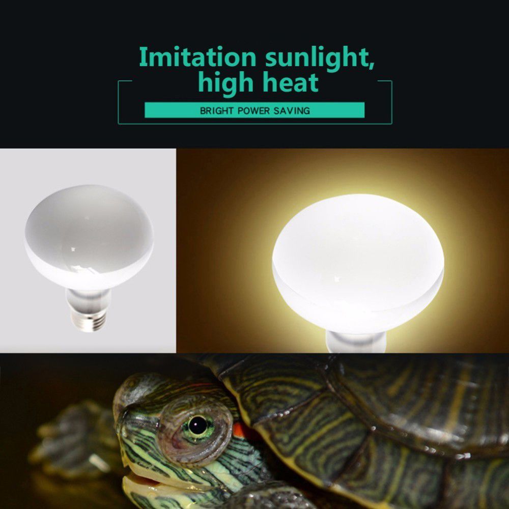 Amphibians Heat Lamp Temperatu - Basking Bulb Halogen recensie en prijs