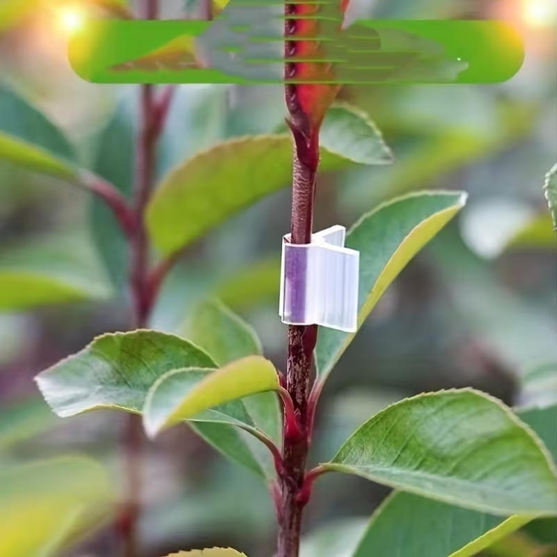50pcs Agriculture Grafting Cli - Vine Climbing Plastic recensie en prijs