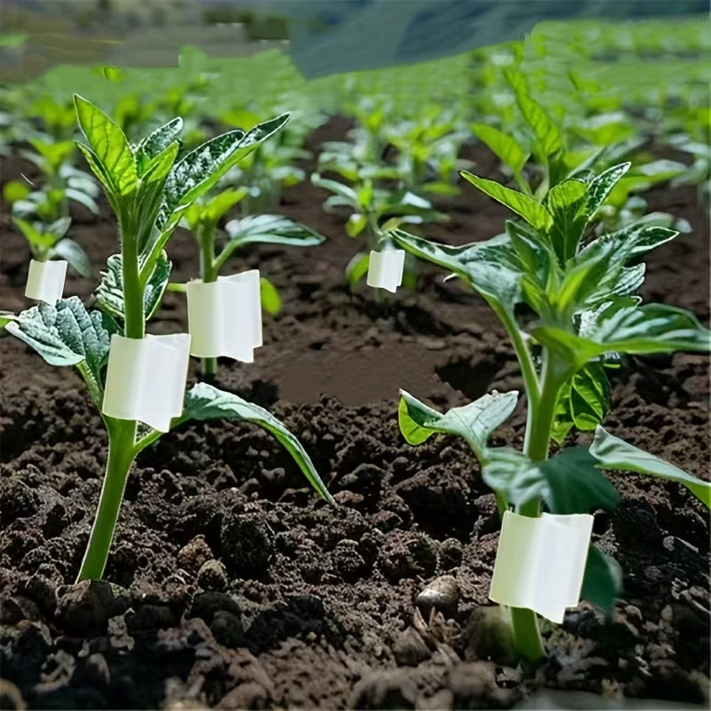 50pcs Agriculture Grafting Cli - Vine Climbing Plastic recensie en prijs