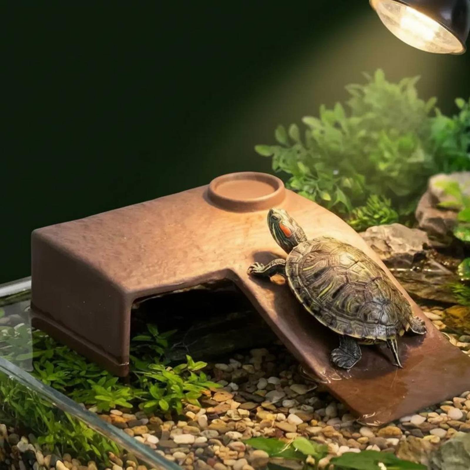 2 Pieces Turtle Basking Dock E - Hide Cave Ceramic recensie en prijs