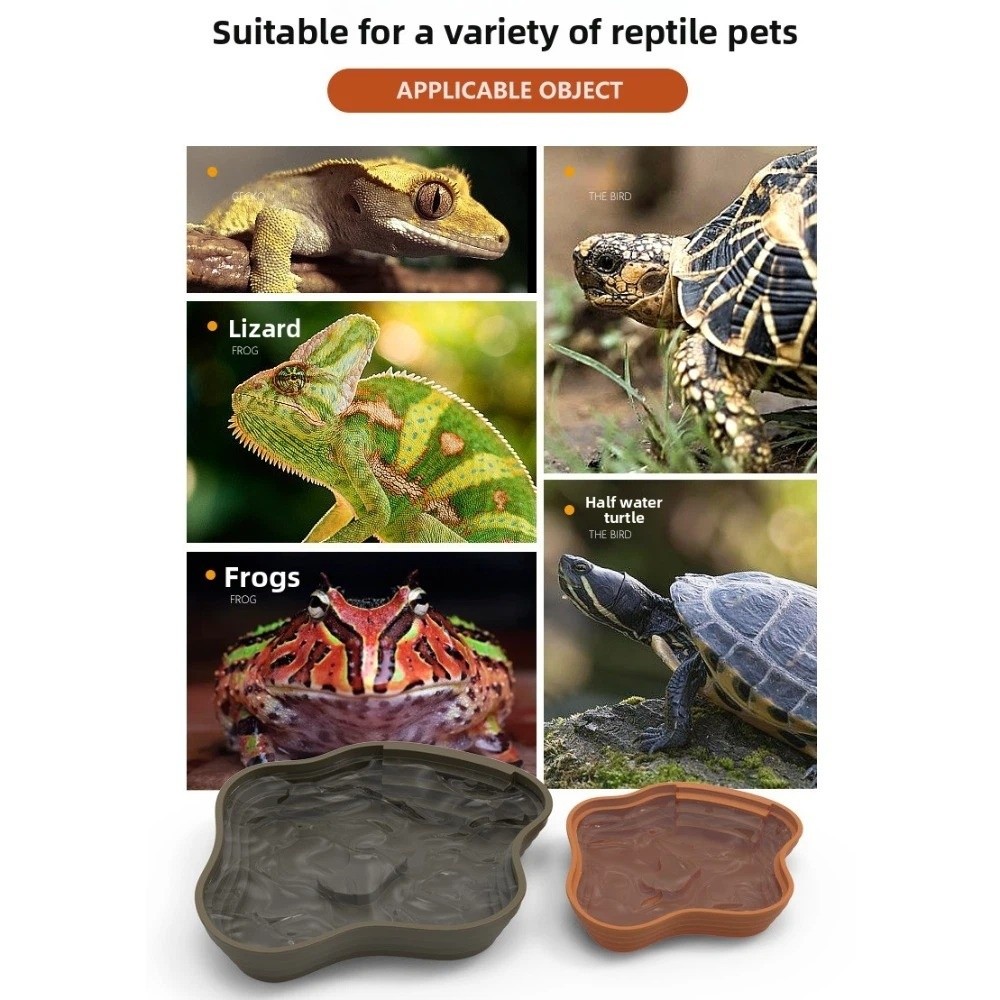 New Plastic Turtle Water Basin - Water Dish Reptile recensie en prijs