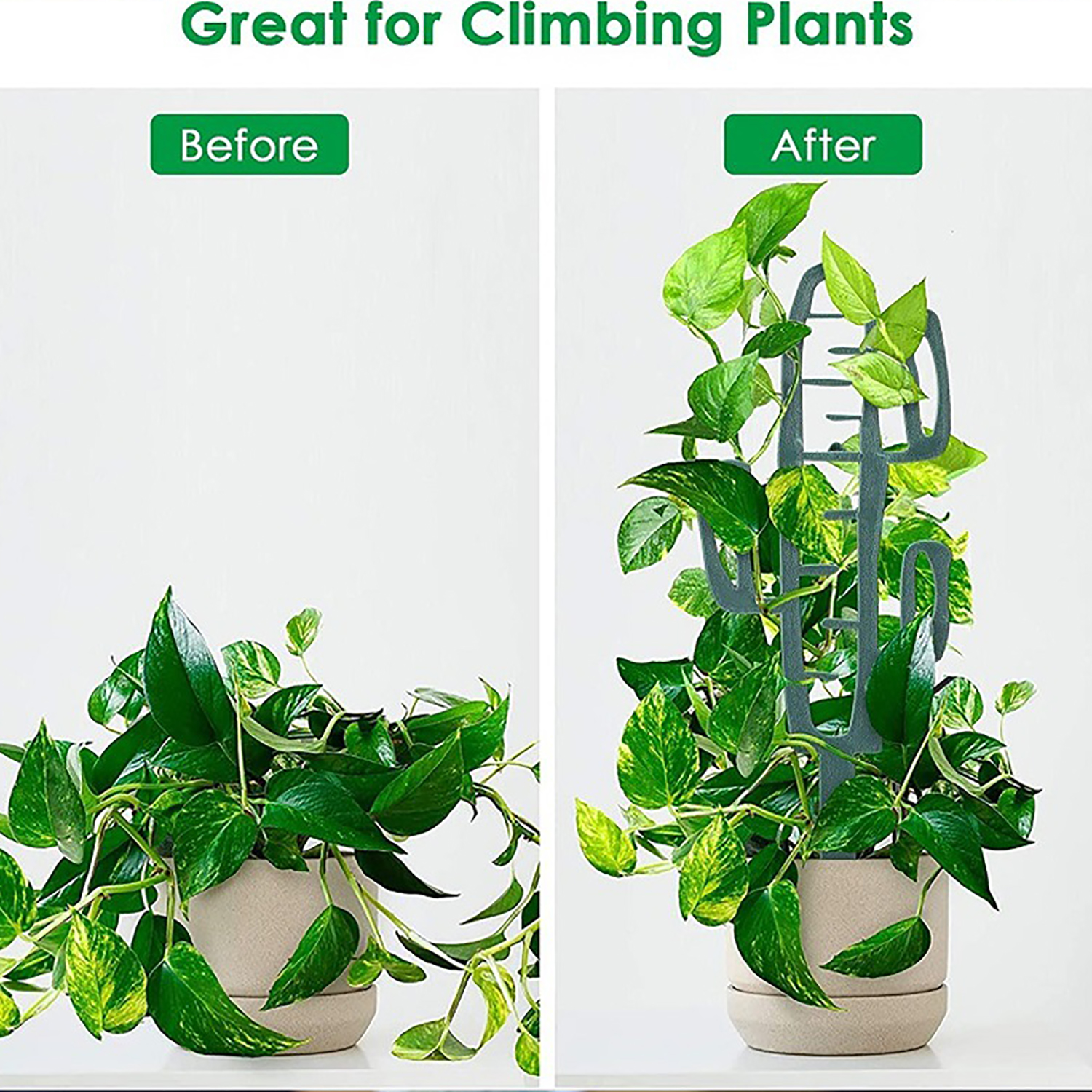 Plant Climbing Support Stand F - Vine Climbing Plastic recensie en prijs