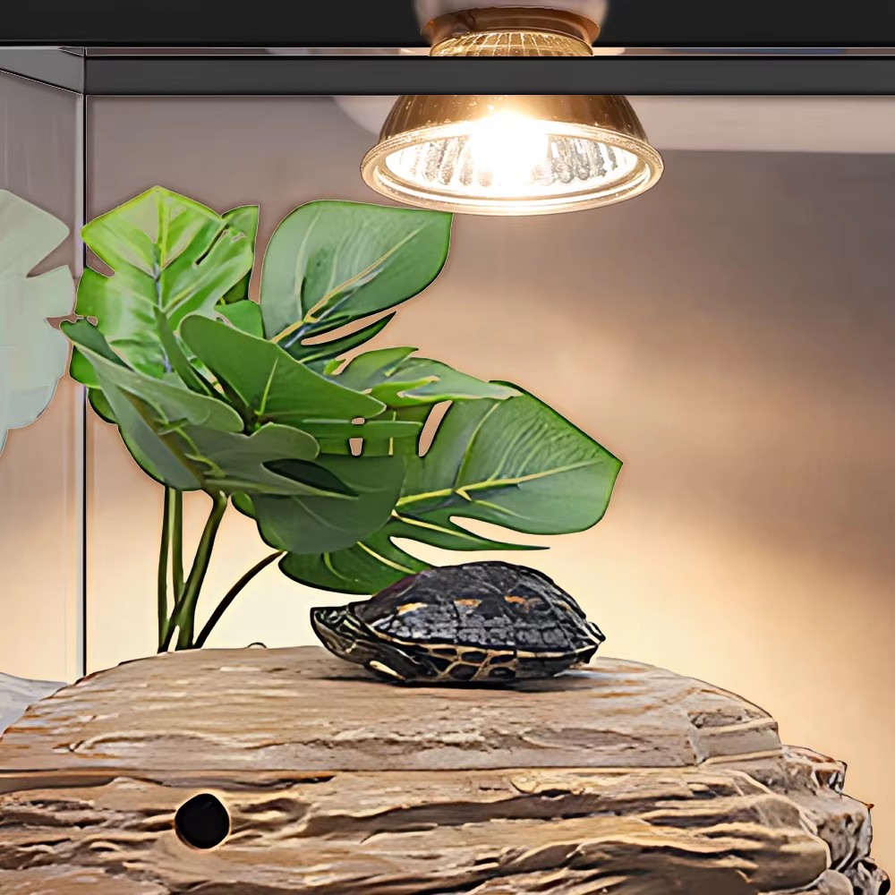 25W/75W/100W Full Spectrum UVA - Calcium Powder Reptile recensie en prijs