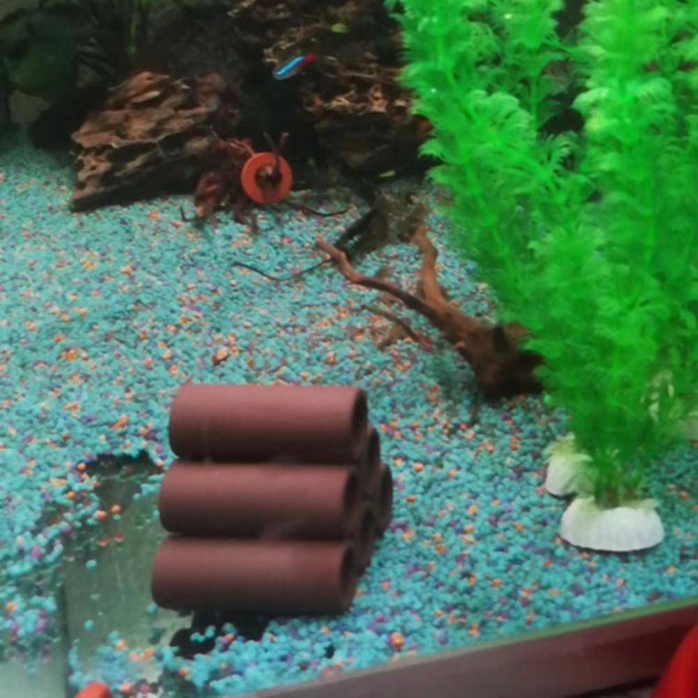 Playing Breeding Spawning Aqua - Hide Cave Ceramic recensie en prijs