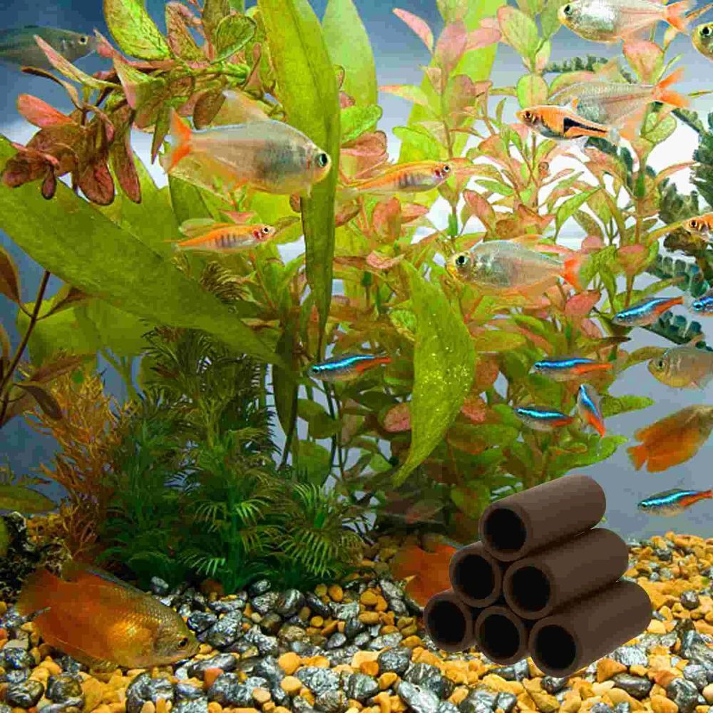 Playing Breeding Spawning Aqua - Hide Cave Ceramic recensie en prijs