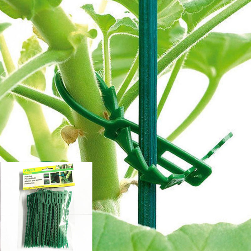 13cm Adjustable Plastic Plant  - Vine Climbing Plastic recensie en prijs