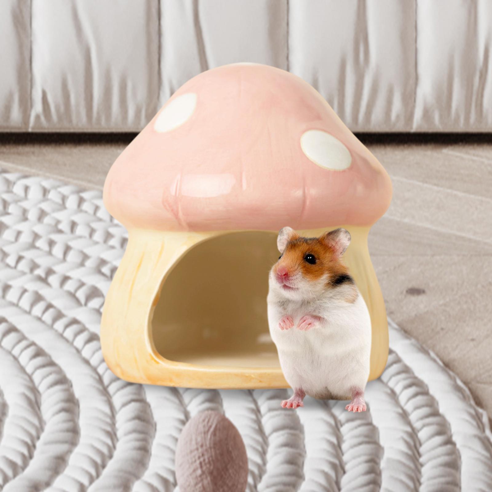 Ceramic Mushroom Hamster Hideo - Hide Cave Ceramic recensie en prijs