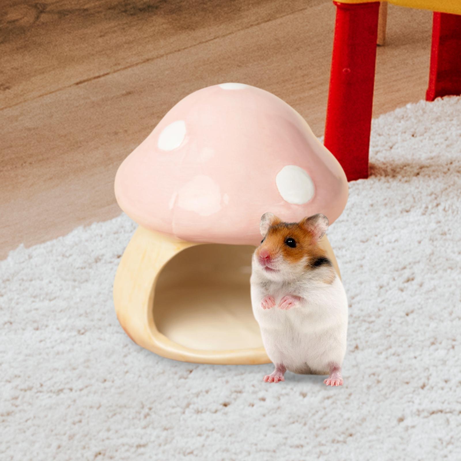 Ceramic Mushroom Hamster Hideo - Hide Cave Ceramic recensie en prijs