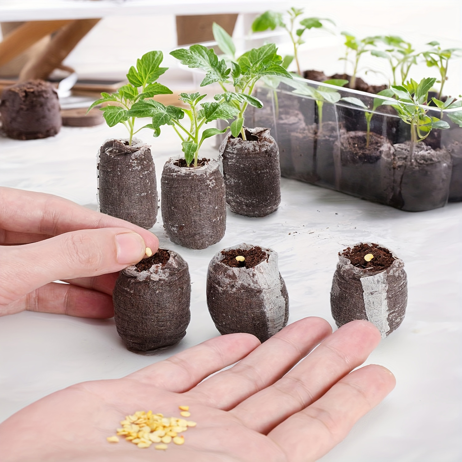 10/20/50pcs Plant Growth Bags  - Substrate Coconut Fiber recensie en prijs