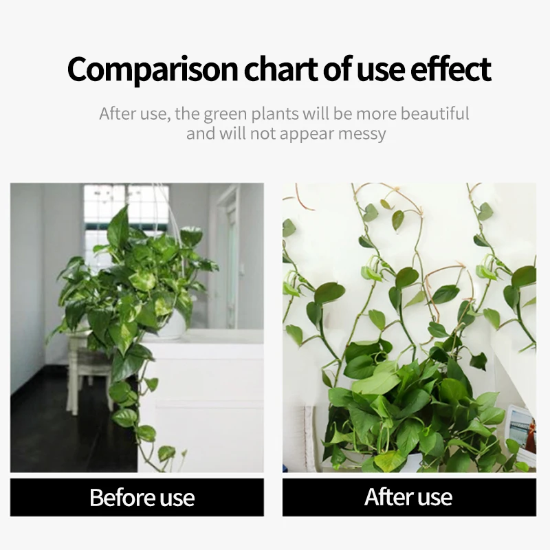 Plant Climbing Wall Self-Adhes - Vine Climbing Plastic recensie en prijs