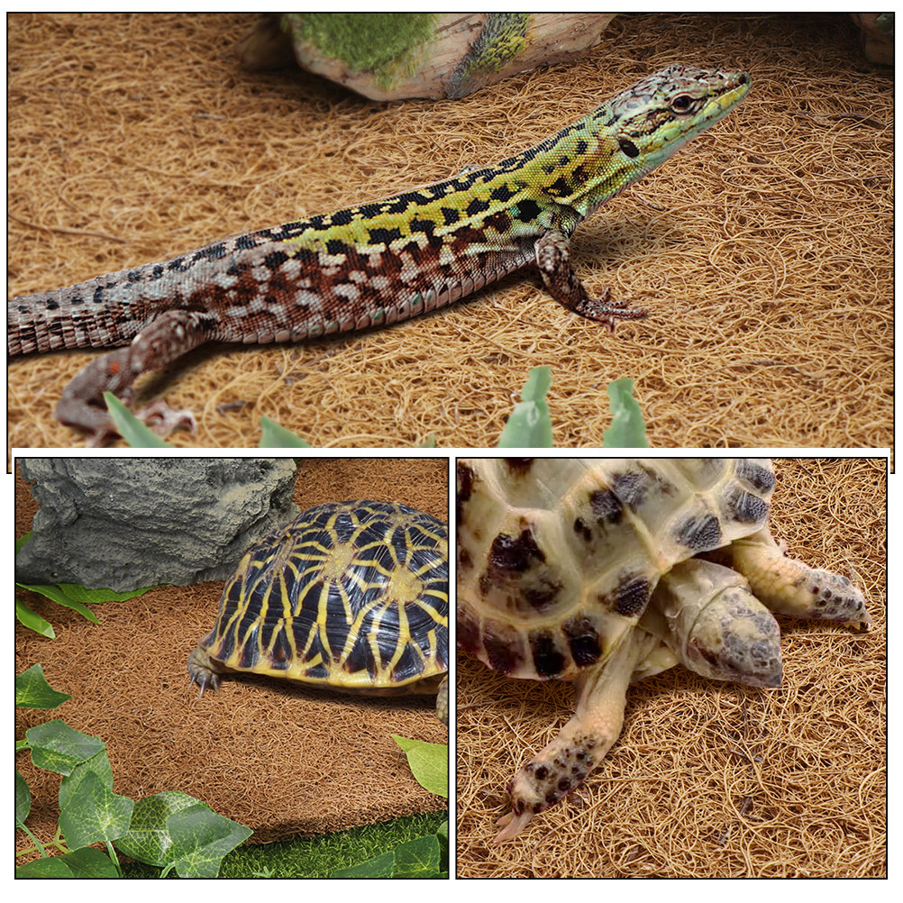 Reptile Terrarium Carpet Natur - Substrate Coconut Fiber recensie en prijs